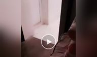内涵视频,揭秘内涵视频背后的文化现象与心理解读