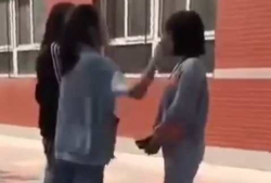 女生被艹视频,女生被艹视频事件引发社会关注